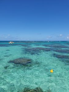 Piscinas Naturais de Maragogi