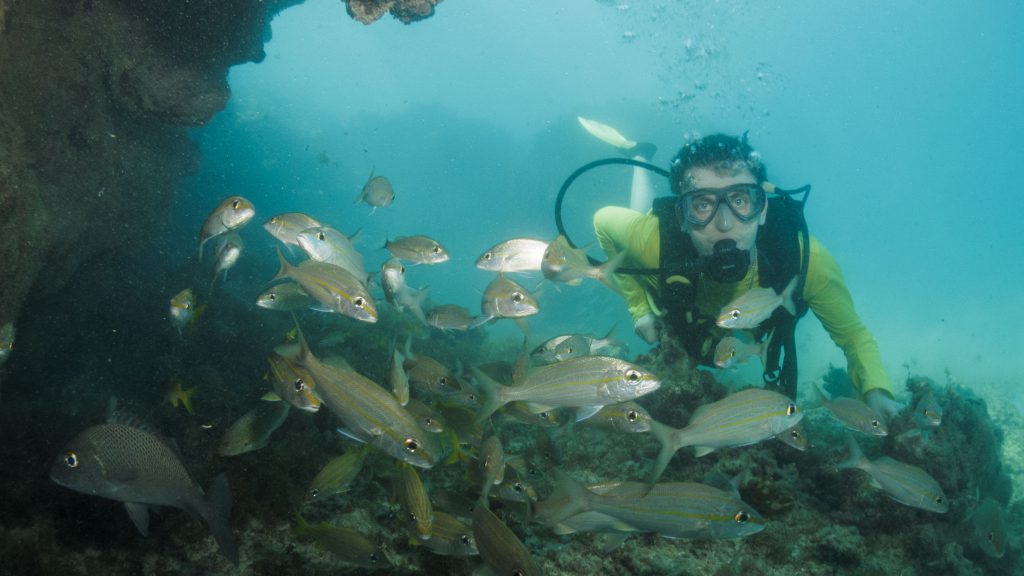 Mergulho em Maragogi Alagoas