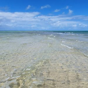 Caminho de Moisés Maragogi