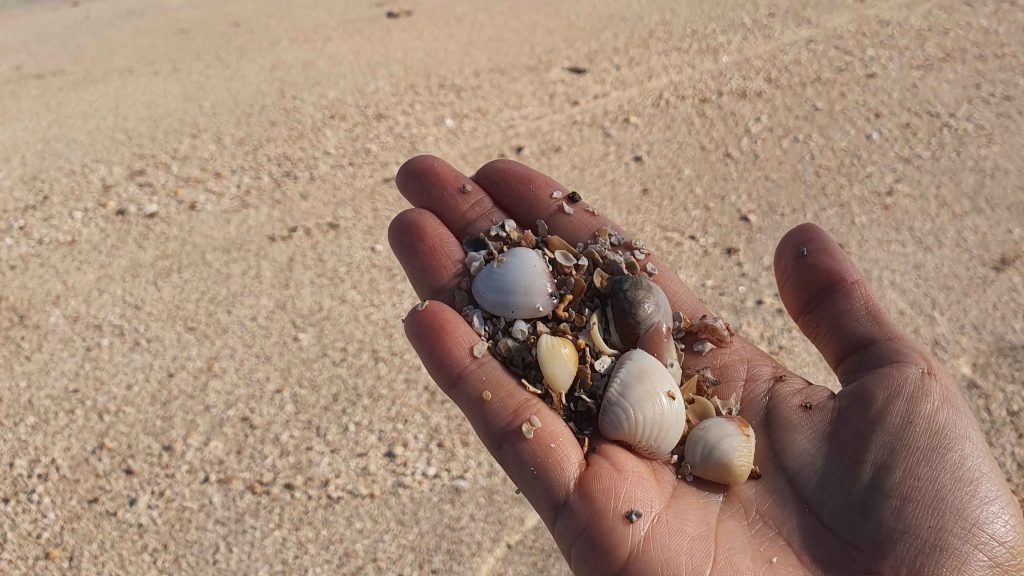 Qual tipo de areia de Maragogi?