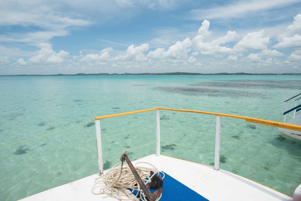 Conheça tudo sobre as Piscinas Naturais de Maragogi. São elas: Galés, Taocas e Barra Grande.