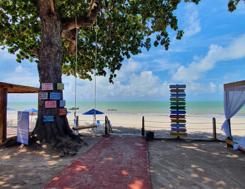 Balanço incrível para tirar sua foto perfeita onde comer na praia de Barra Grande