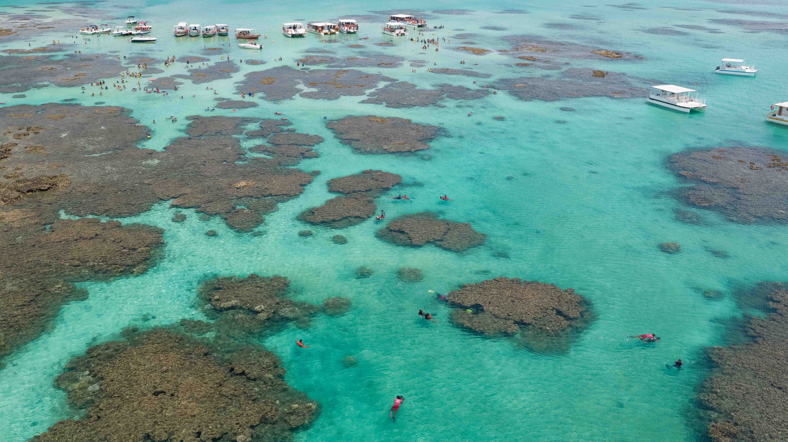 Qual a melhor piscina natural de Maragogi? - Maragogi Alagoas