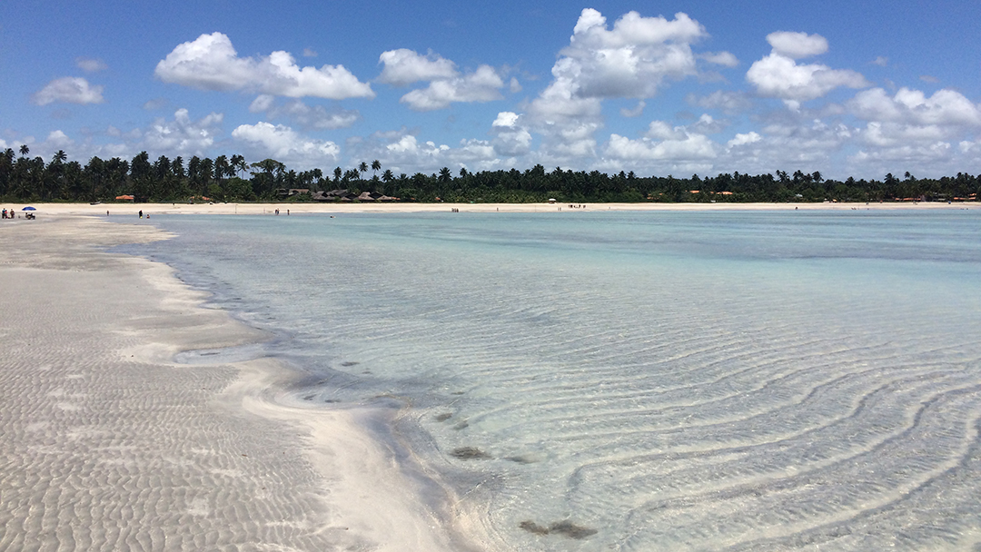 Tabua da maré Maceió é a mesma de Maragogi? - Maragogi Alagoas